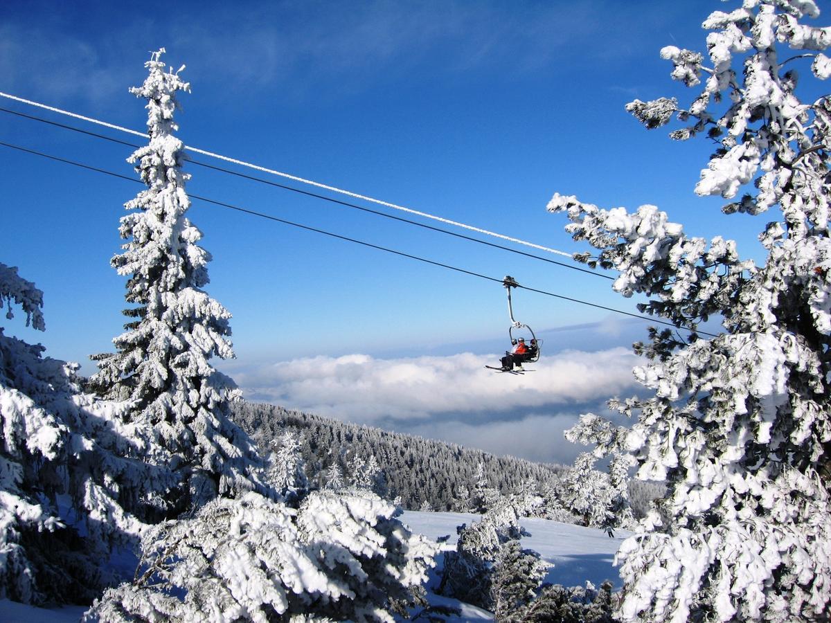 Bungalows Ski Pista Govedarci Kültér fotó